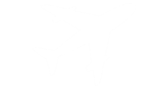 airplane icon
