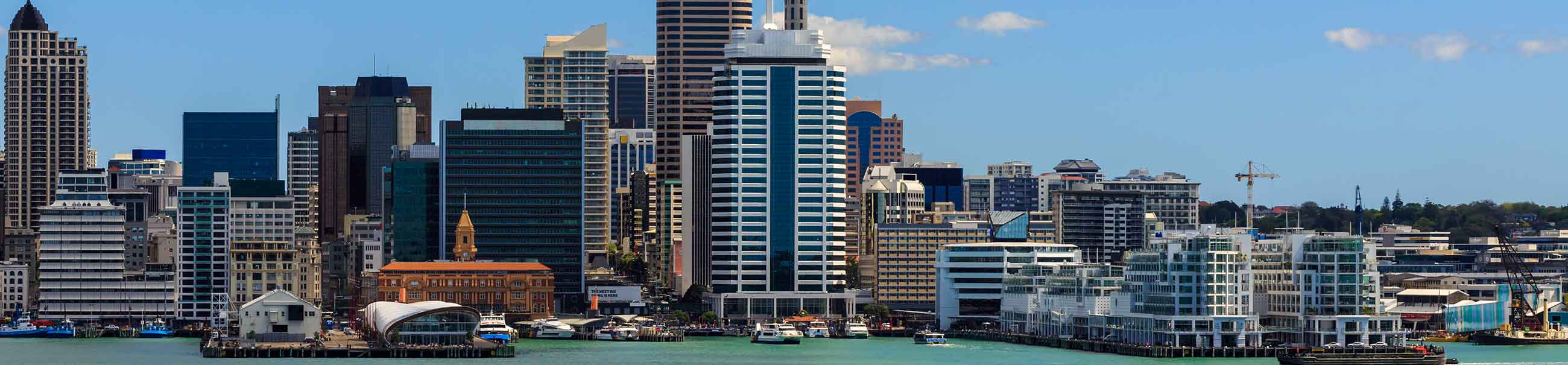 shot of auckland from the water